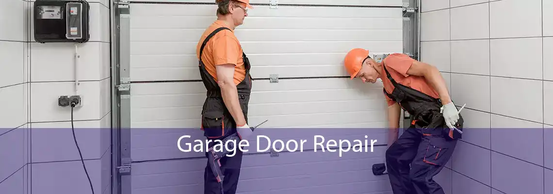 Garage Door Repair 